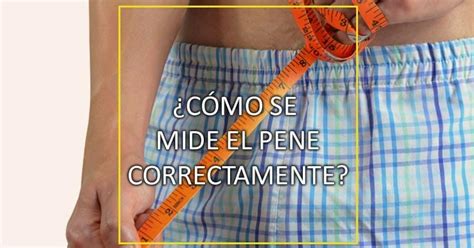 penes de 17 centímetros|mi pene mide 17 cm es una medida pequeña o que se puede .